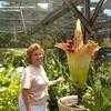 Thumbnail #4 of Amorphophallus titanum by Yuska