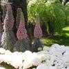 Thumbnail #4 of Echium wildpretii by mgarr