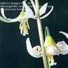 Thumbnail #4 of Erythronium oregonum by buggycrazy