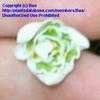 Thumbnail #2 of Galanthus nivalis by Baa