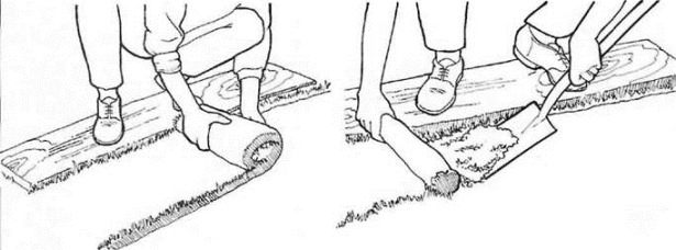 laying turf - stand on a board to prevent soil compaction