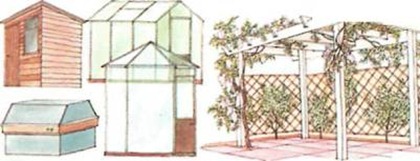 shed and pergola