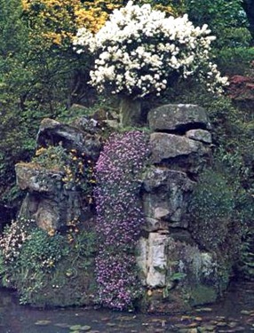 planting a rock garden