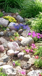 starting a rock garden
