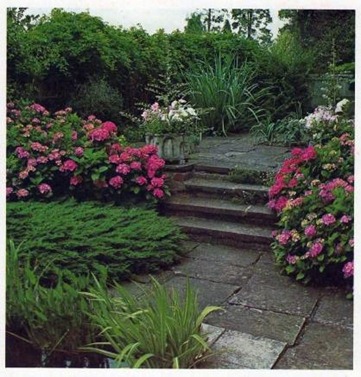 steps for the sloping garden