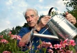 gardening for retired gardeners