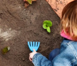 gardens for young families