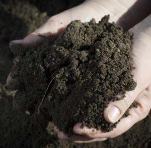 Soils, Composts and Fertilizers