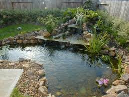 Water Feature Planting Ideas - Informal Planting