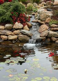 Building Garden Ponds and Water Features