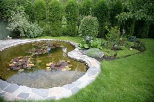 pre-formed garden pond