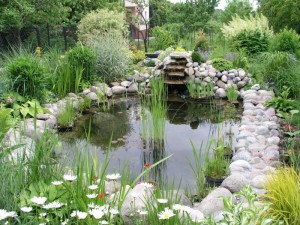 Building and Positioning a Garden Water Feature