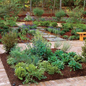 The Herb Garden