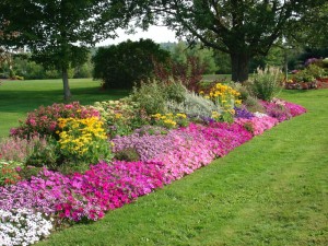 The Flower Border