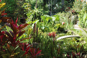 Wild Gardens - Water and Wetland