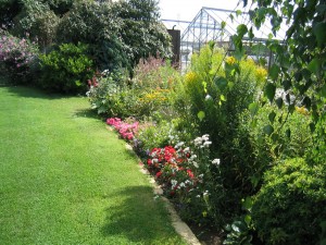 wildlife garden - importance of garden habitats