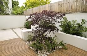 Wood Decking Ideas - Plants and Water Features