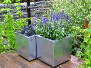 container gardening - growing plants in containers