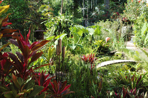 bog gardens for the gardening enthusiast