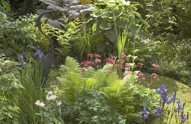 making a bog garden