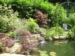 Natural Water Gardens