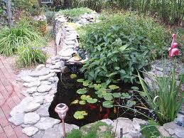 Garden Water Features