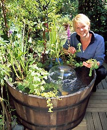 Principles of Water Gardening