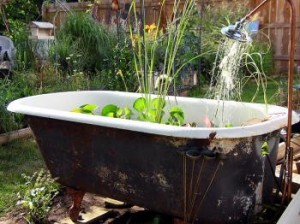 garden water features