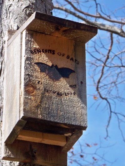 bat-house