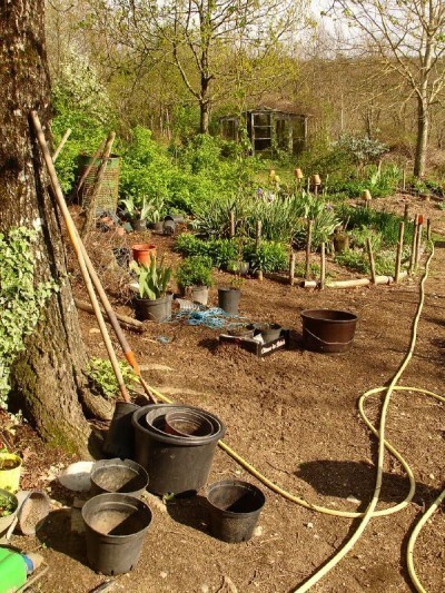 permaculture-garden