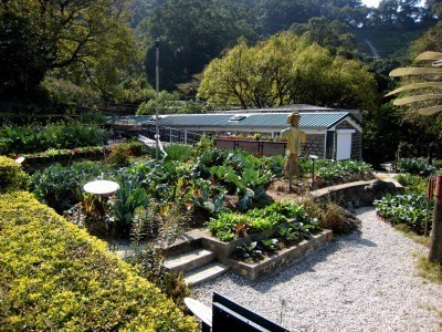 organic-garden-info