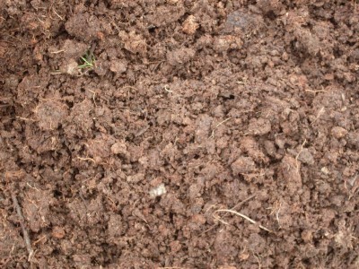 organic-soil