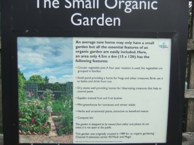 small-organic-garden