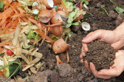 compost heap