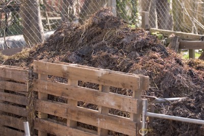 compost-pile
