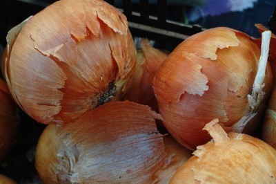 compost-onions