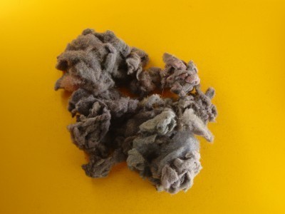 dryer lint