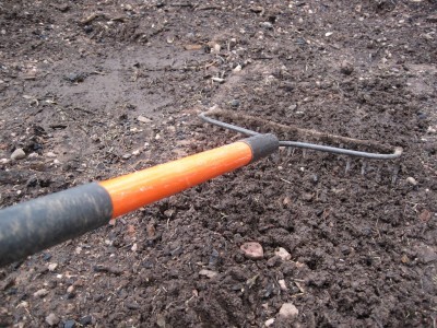 raking-in-manure
