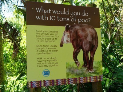 zoo-poo