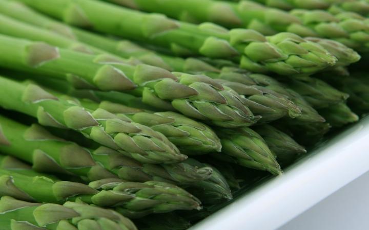 asparagus-plant-grow-harvest