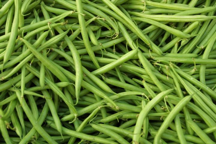 Pile of Green Beans