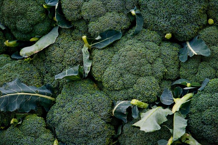 Broccoli Florets