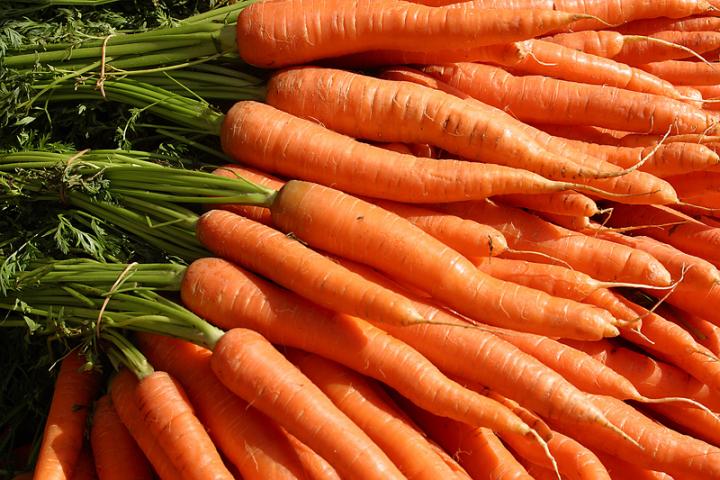 Garden Carrots