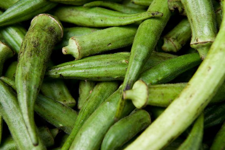 Okra