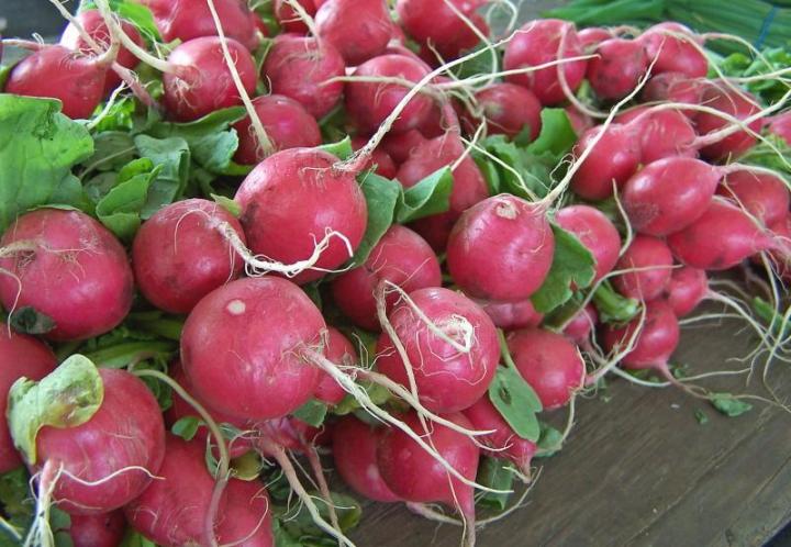 Radishes