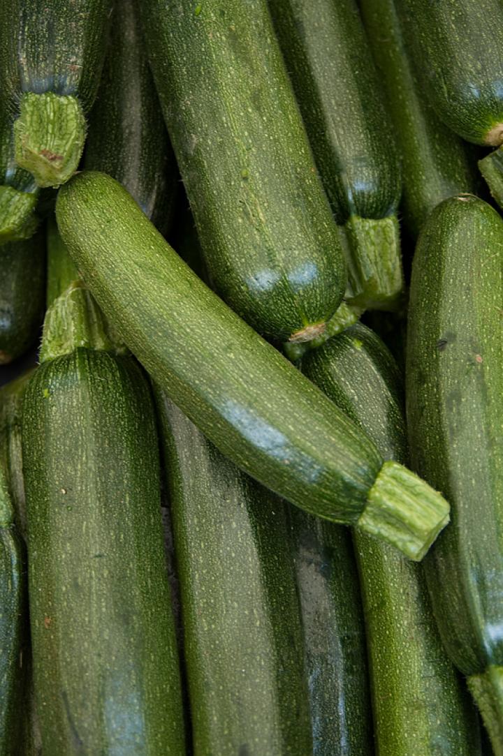 Zucchini