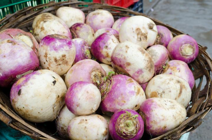 planting-growing-turnips