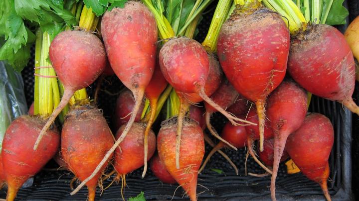 Beets from the Garden