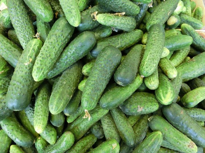 cucumbers-nutrition-natural-remedies