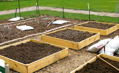 how to build raised garden beds